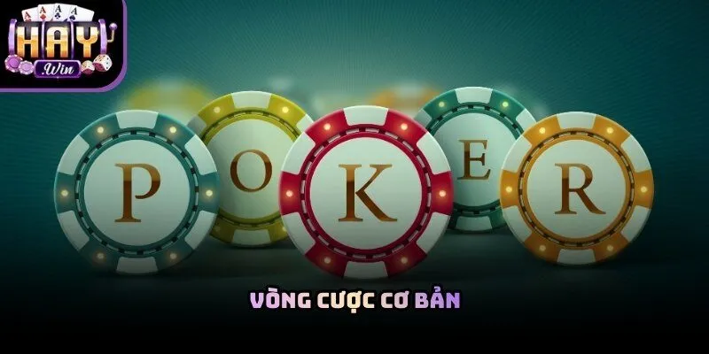 Bí kíp chơi bài poker Haywin hiệu quả yêu cầu cược thủ phải nắm bắt nhịp độ 