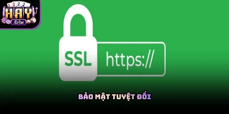 Hệ thống mã hóa SSL bảo vệ an toàn dữ liệu người dùng
